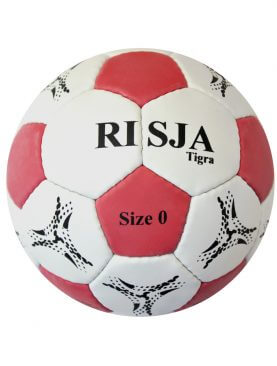 Risja Tigra handbal